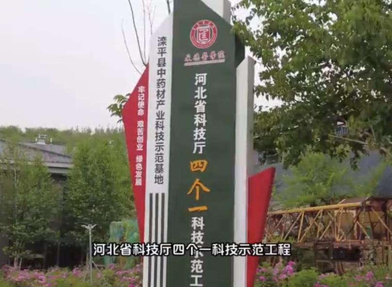 中药花海小镇，满山草药味道还有儿童游乐场